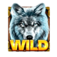 wolf fang the wild snow wild symbol