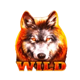 wolf fang volcano wild symbol