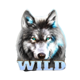 wolf fang winter storm wild symbol