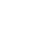 Light and Wonder logo